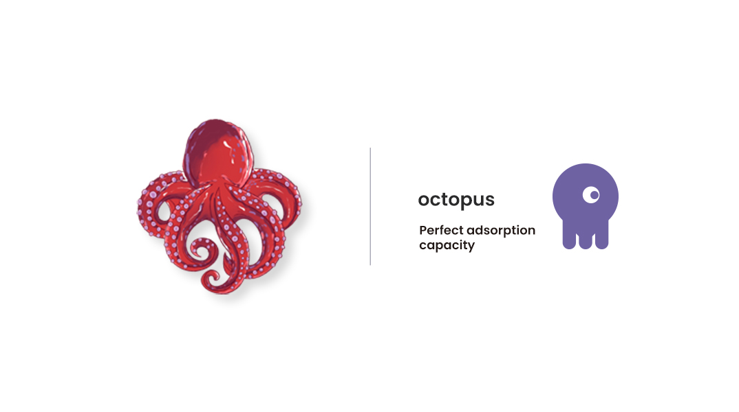 ./../_static/image/octopus.jpeg